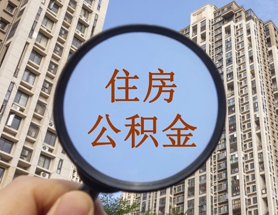 内江退休后查不到公积金明细了吗（退休后公积金查询不到原因）